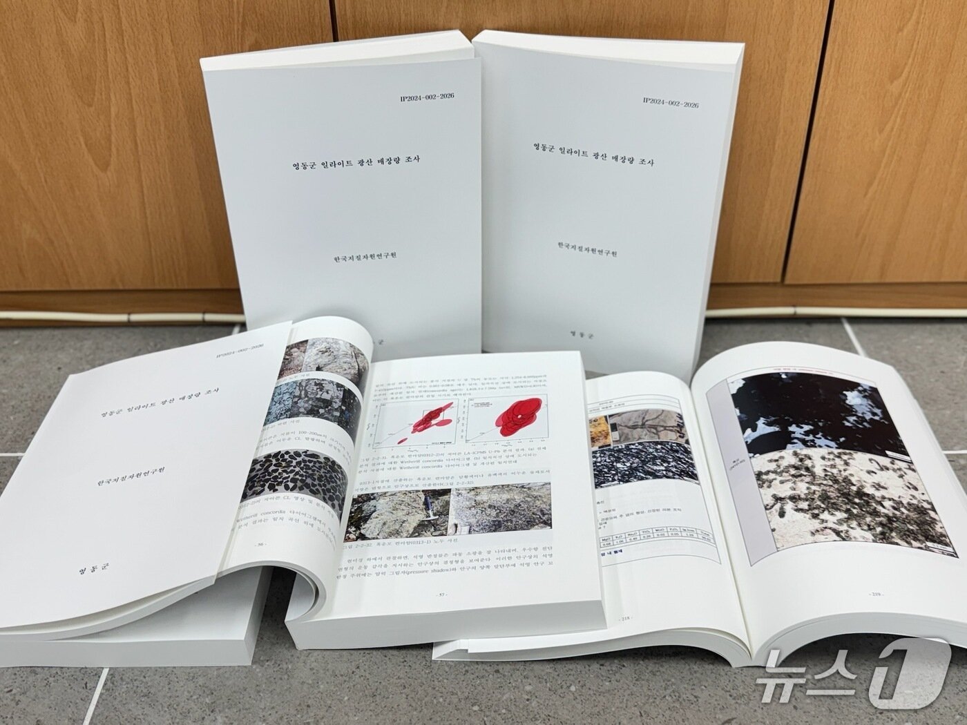 본문 이미지 - 한국지질자원연구원 '일라이트 광산 매장량 조사' 결과 보고서(영동군 제공. 재판매 및 DB금지)