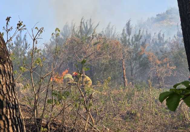 양양 서면 논화리 산불…헬기 6대 투입해 2시간여 만에 진화(종합)