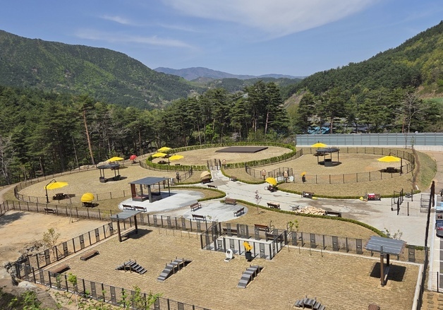 "강릉 강아지 놀이터 생겼다"…'강릉 펫파크' 27일 임시 개장