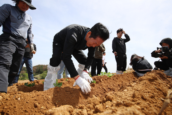정청래, 통영 욕지도서 고구마 재배 민생현장 체험