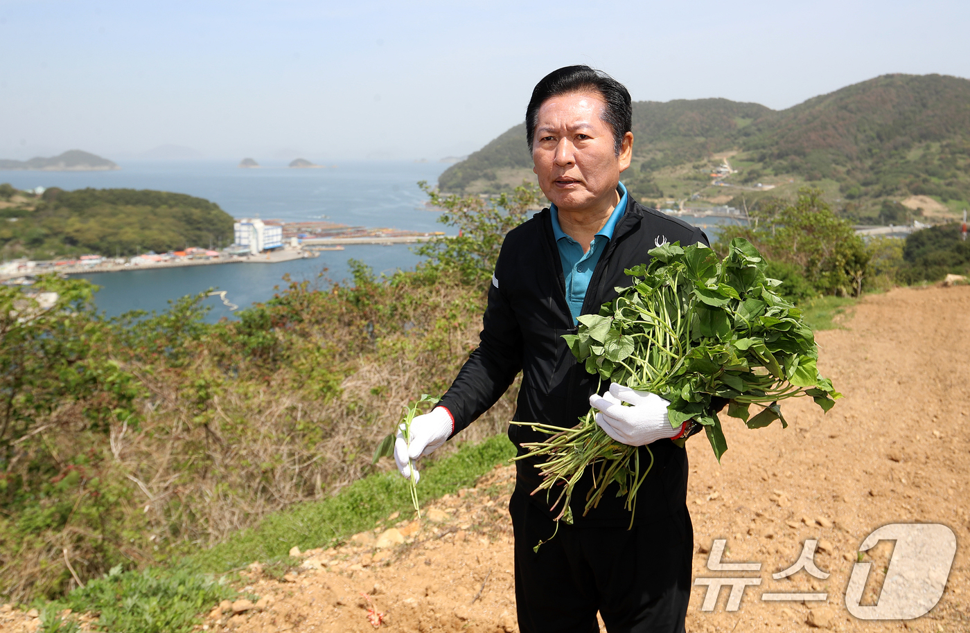 (통영=뉴스1) 윤일지 기자 = 정청래 더불어민주당 대표가 21일 오후 경남 통영 욕지도 한 고구마 재배 현장을 찾아 고구마 순을 들고 있다. 2026.4.21/뉴스1