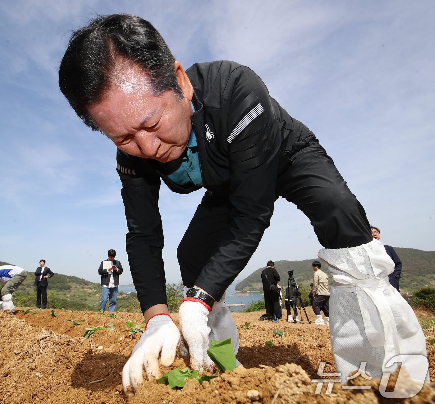 (통영=뉴스1) 윤일지 기자 = 정청래 더불어민주당 대표가 21일 오후 경남 통영 욕지도 한 고구마 재배 현장을 찾아 고구마 순을 심고 있다.  2026.4.21/뉴스1