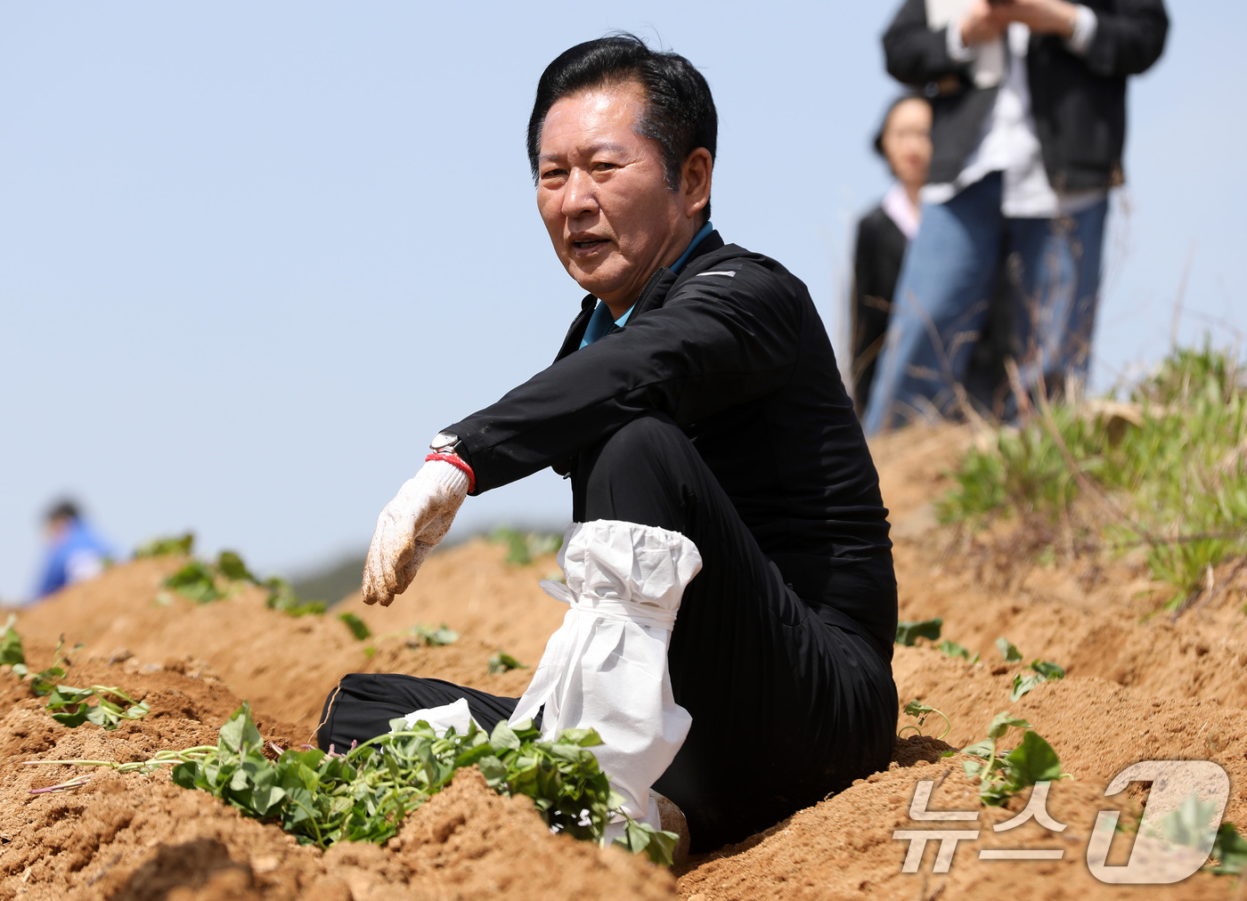 (통영=뉴스1) 윤일지 기자 = 정청래 더불어민주당 대표가 21일 오후 경남 통영 욕지도 한 고구마 재배 현장을 찾아 고구마 순을 심은 뒤 휴식을 취하고 있다. 2026.4.21/ …