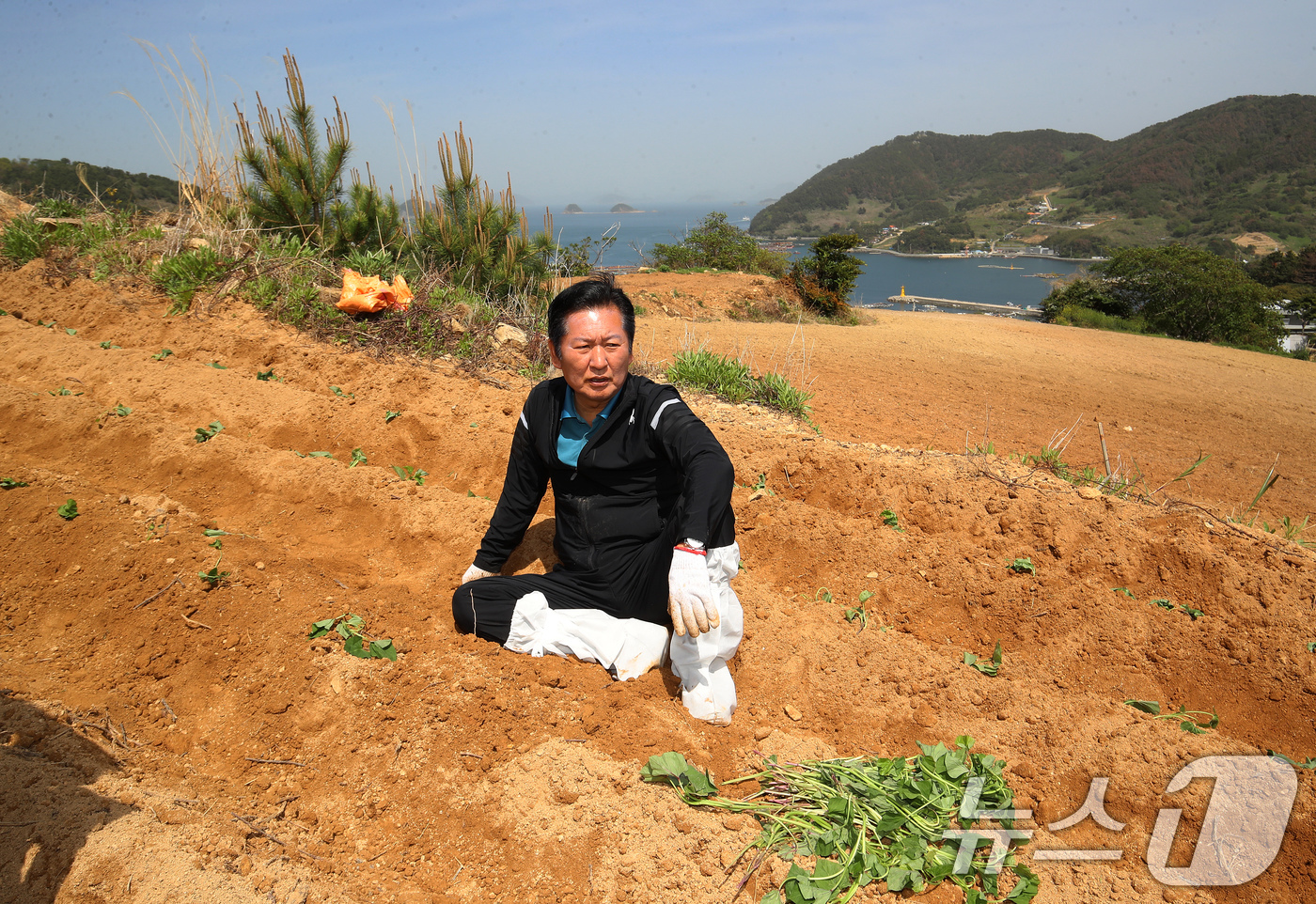 (통영=뉴스1) 윤일지 기자 = 정청래 더불어민주당 대표가 21일 오후 경남 통영 욕지도 한 고구마 재배 현장을 찾아 고구마 순을 심은 뒤 휴식을 취하고 있다. 2026.4.21/ …