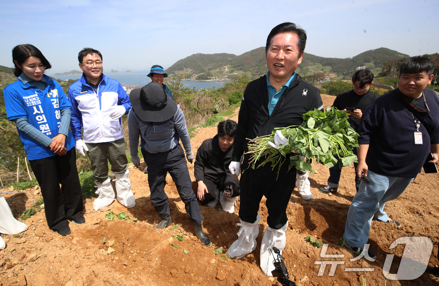 (통영=뉴스1) 윤일지 기자 = 정청래 더불어민주당 대표가 21일 오후 경남 통영 욕지도 한 고구마 재배 현장을 찾아 고구마 순을 심고 있다.  2026.4.21/뉴스1