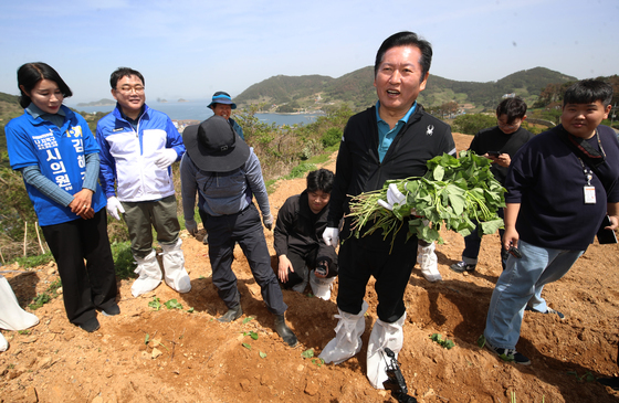 욕지도서 고구마 순 심는 정청래 대표