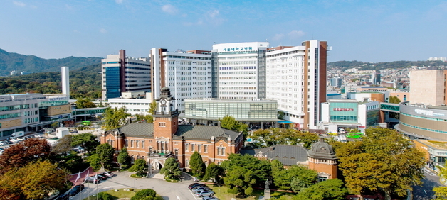 서울대병원, 글로벌 암 연구 평가서 국내 1위…서울아산 뒤이어