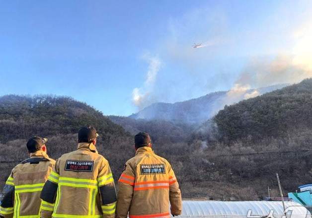 단양군, 산불 낸 80대 주민에게 복구비 870만원 청구