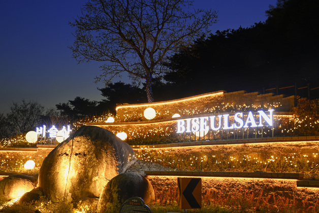 대구 달성군 비슬산 참꽃로드에 야간 경관 새 단장