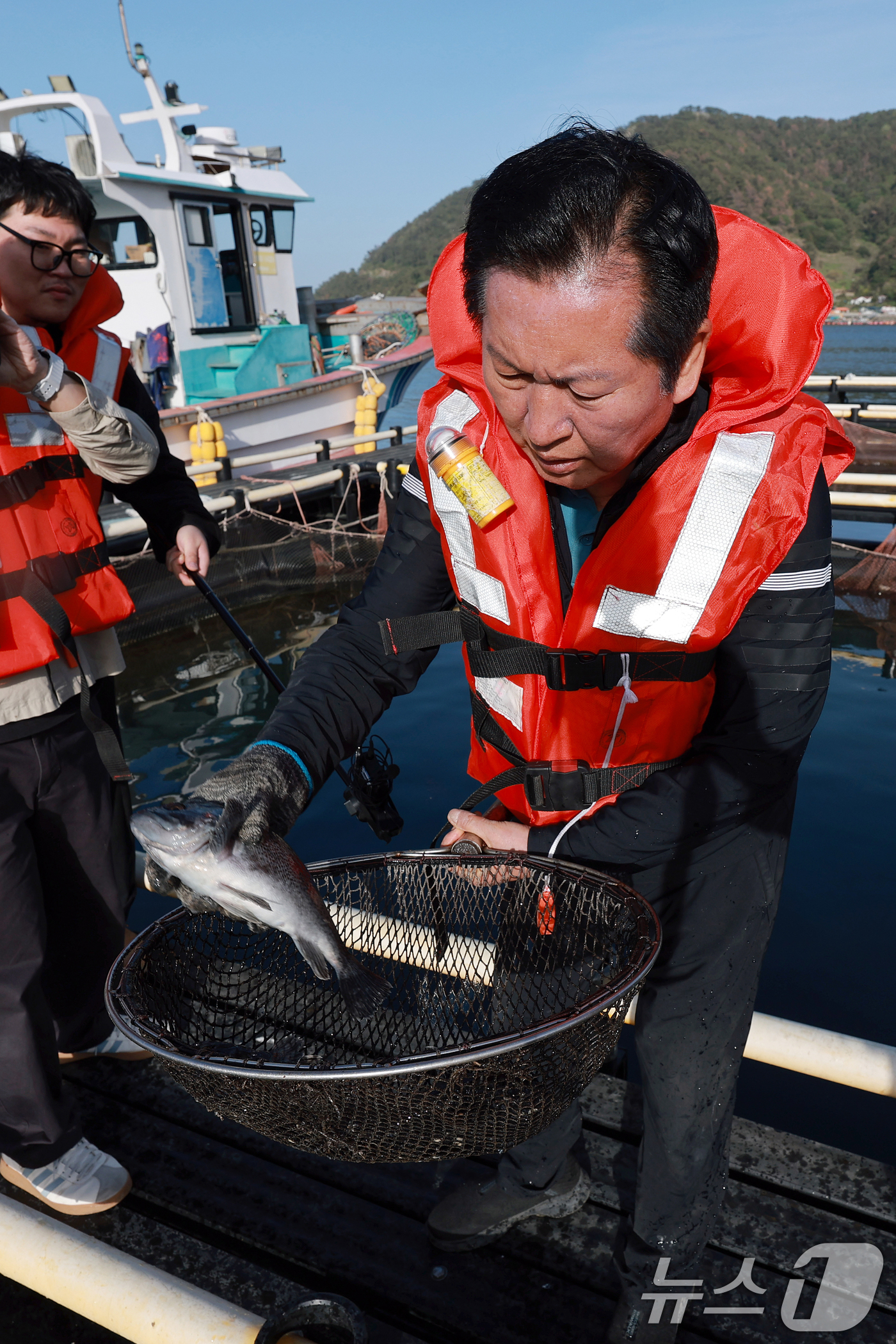 (통영=뉴스1) 윤일지 기자 = 정청래 더불어민주당 대표가 21일 오후 경남 통영 욕지도 한 고등어 양식장을 찾아 뜰채를 이용해 우럭을 잡고 있다. (공동취재)  2026.4.21 …