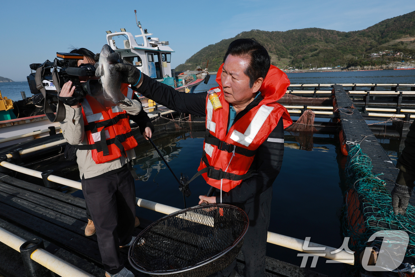 (통영=뉴스1) 윤일지 기자 = 정청래 더불어민주당 대표가 21일 오후 경남 통영 욕지도 한 고등어 양식장을 찾아 뜰채를 이용해 우럭을 잡고 있다. (공동취재)  2026.4.21 …