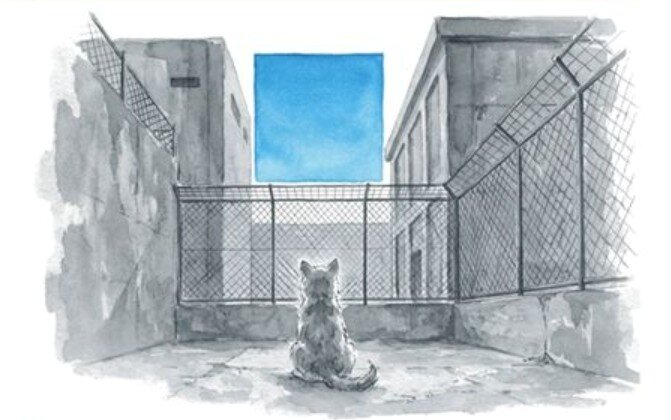 본문 이미지 - '늑구의 꿈' (문학세계사 제공)