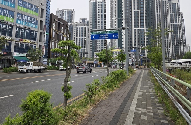 안양시 '이팝나무 꽃길' 조성한다…안양천서로 가로수 교체