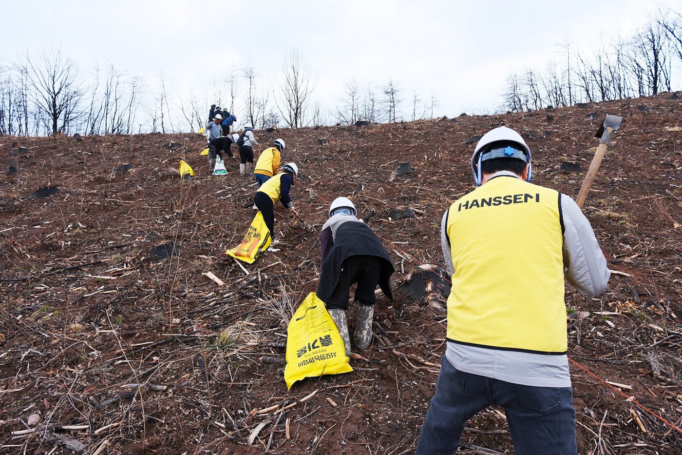 본문 이미지 - 한샘 임직원들이 경상북도 안동시 산불피해지(한샘숲 3호 조성지)에 산벚나무를 식재하고 있다.(한샘 제공)