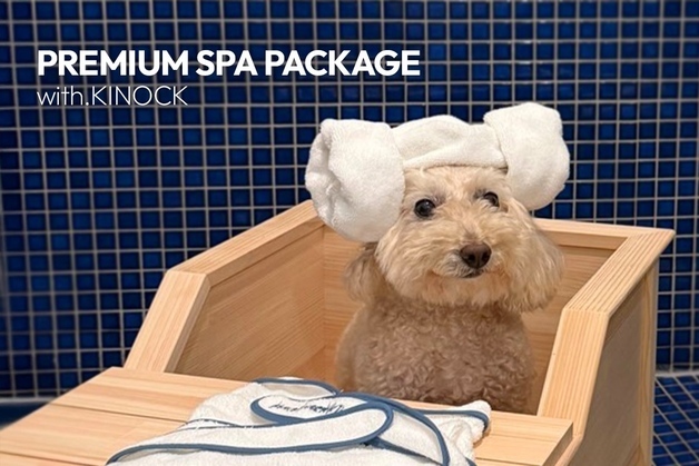 "강아지도 온천욕 시대"…키녹, 반려동물 전용 머드팩 스파 도입