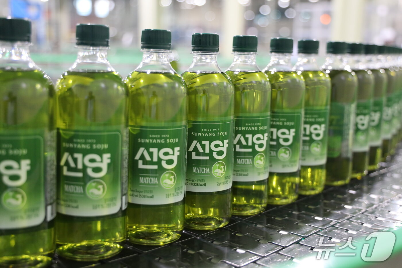 본문 이미지 - (주)선양소주가 국내 최초 말차소주 '선양 말차' 를 출시했다. (선양소주 제공, 재판매 및 DB 금지) 2026.4.22/뉴스1