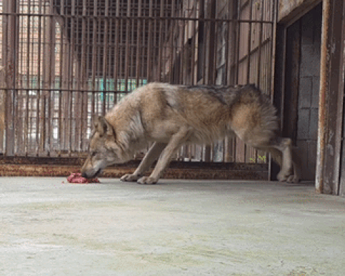 본문 이미지 - 오월드 SNS