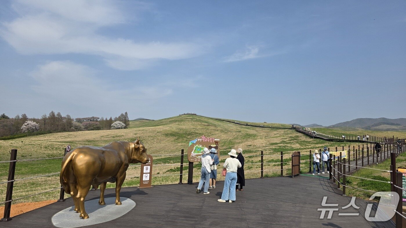 본문 이미지 - 지난 21일 운산 한우목장길(데크길) 모습(재판매 및 DB금지)2026.4.22 ⓒ 뉴스1 김태완 기자