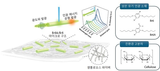 인하대 박동혁 교수 연구팀, 친환경 셀룰로스 기반 인광 광제어 플랫폼 개발