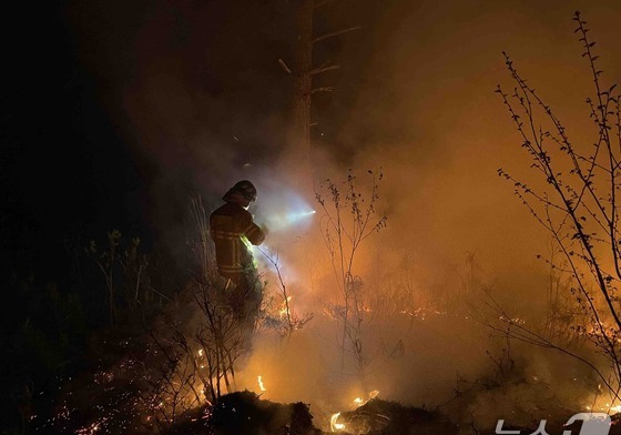 행정·산림·경찰, 어젯밤 영월 산불 낸 실화자 끝까지 추적한다