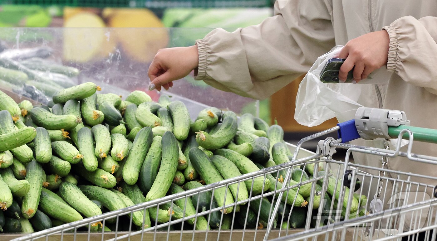 본문 이미지 - 22일 서울 서초구 농협하나로마트 양재점을 찾은 시민들이 장을 보고 있다. 한국은행이 22일 발표한 3월 생산자물가지수는 전월(123.28)보다 1.6% 상승한 125.24(2020년 수준 100)로 집계됐다. 러·우 전쟁이 한창이던 지난 2022년 4월(1.6%) 이후 4년 만에 가장 높은 상승률이다. 전월(0.6%)보다도 상승률이 1%포인트나 불었다. 농림수산품은 농산물(-5%), 축산물(-1.6%) 등을 중심으로 3.3% 하락했다. 2026.4.22 ⓒ 뉴스1 김진환 기자