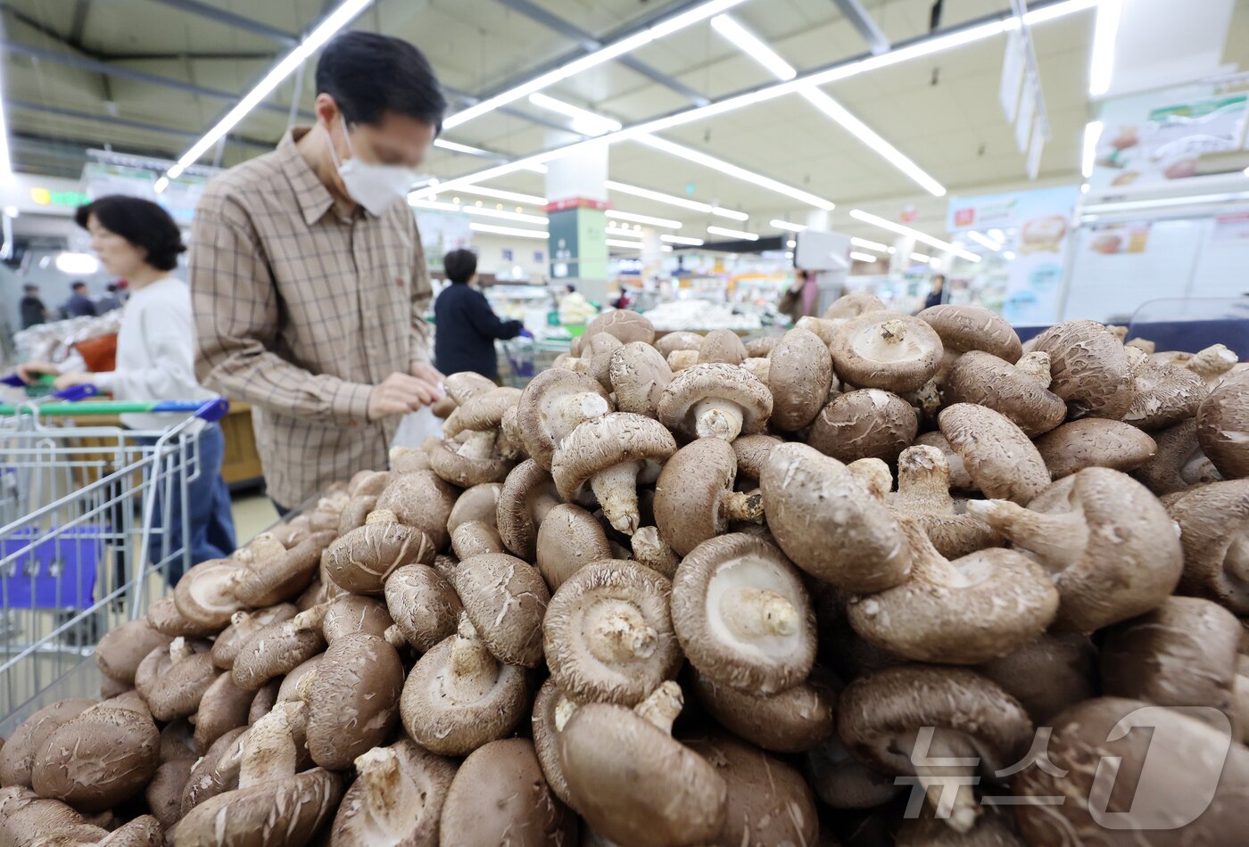 본문 이미지 - 22일 서울 서초구 농협하나로마트 양재점을 찾은 시민들이 장을 보고 있다. ] 2026.4.22 ⓒ 뉴스1 김진환 기자