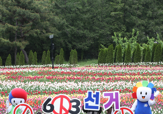 튤립 가득한 대구 이월드