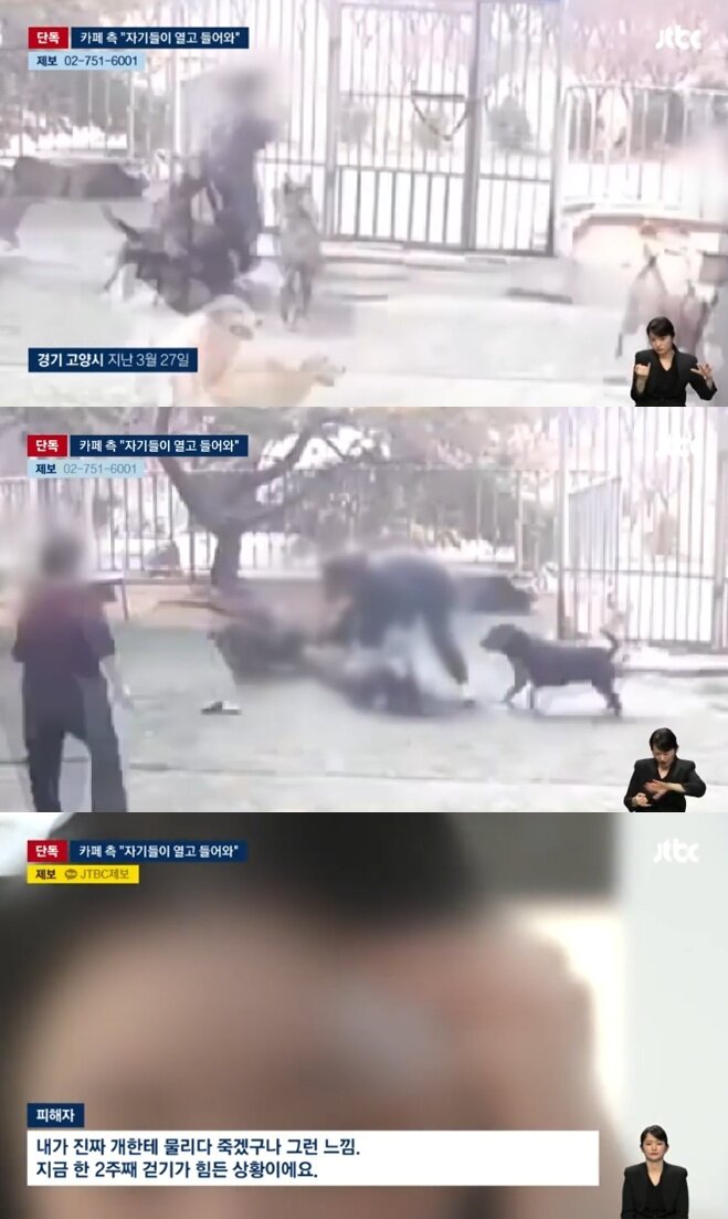 본문 이미지 - (JTBC 갈무리)