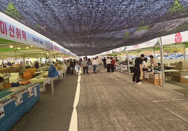인제 '에누리장터' 첫 개장 대박…제철 산나물 인기 속 매출 껑충