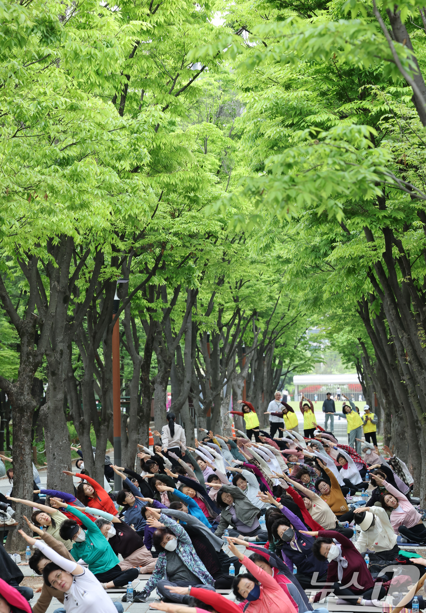 (대전=뉴스1) 김기태 기자 = 22일 대전 서구 보라매공원에서 열린 서구청장배 요가페스티벌에서 참여자들이 요가를 하고 있다.   2026.4.22/뉴스1