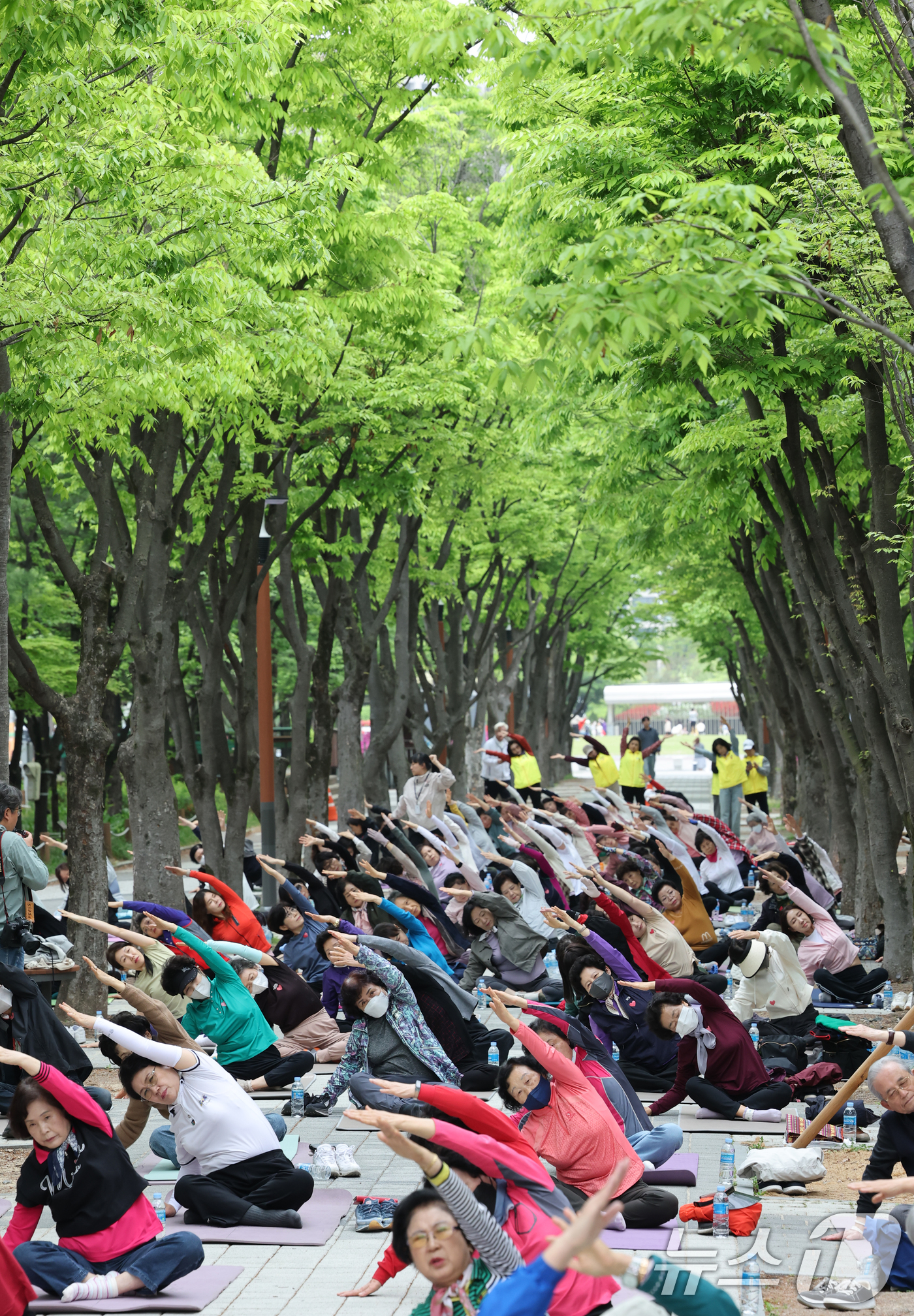 (대전=뉴스1) 김기태 기자 = 22일 대전 서구 보라매공원에서 열린 서구청장배 요가페스티벌에서 참여자들이 요가를 하고 있다.   2026.4.22/뉴스1