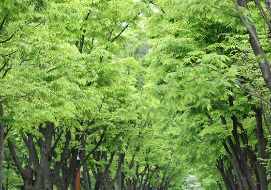 요가로 스트레스 날려버려