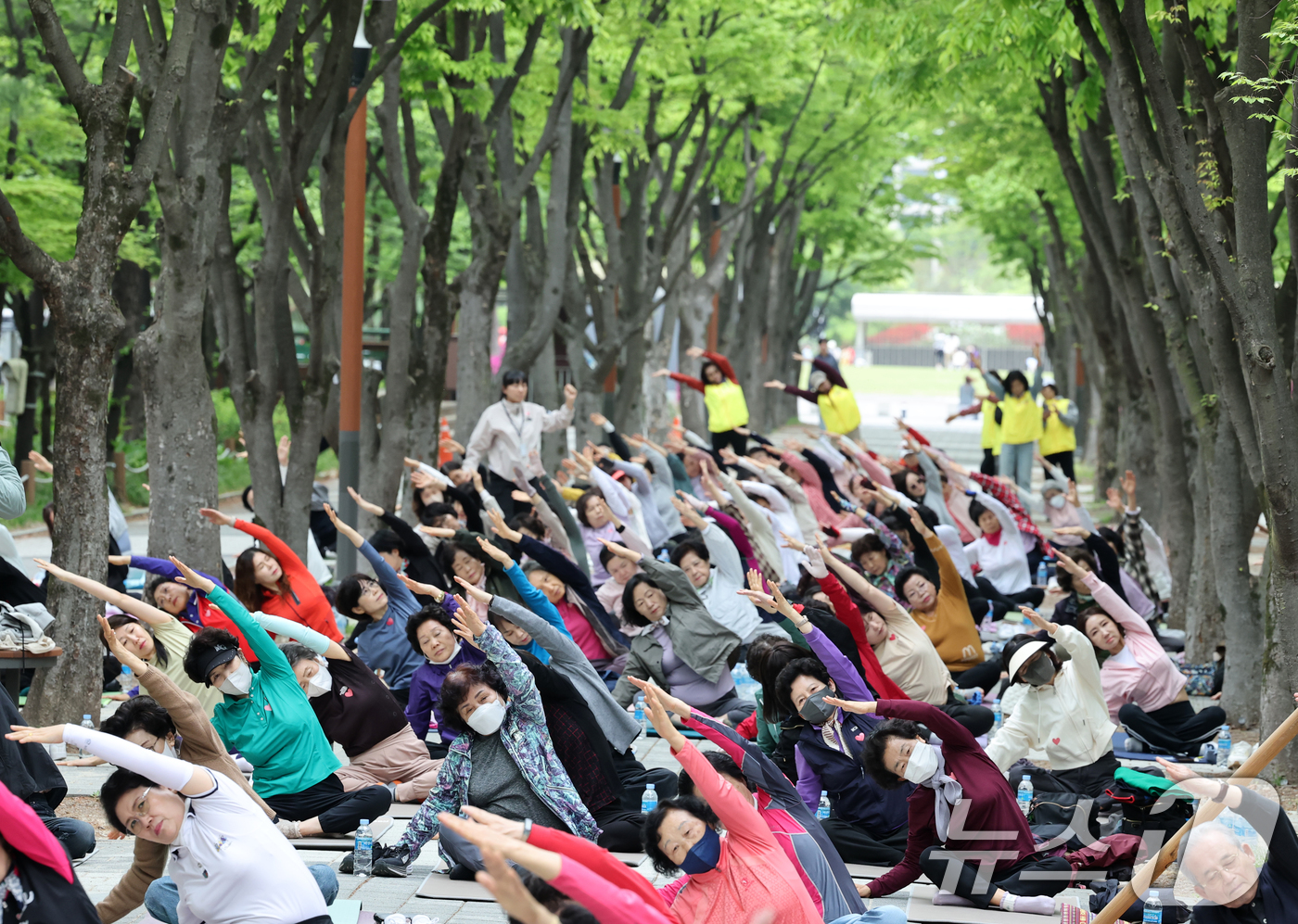 (대전=뉴스1) 김기태 기자 = 22일 대전 서구 보라매공원에서 열린 서구청장배 요가페스티벌에서 참여자들이 요가를 하고 있다.   2026.4.22/뉴스1