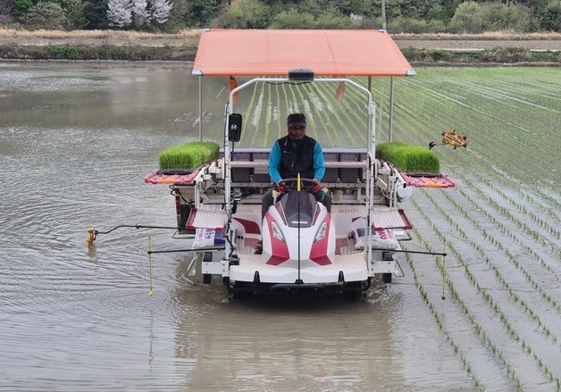 신안군 자은면서 올해 첫 모내기…조생종 벼 품종 실증
