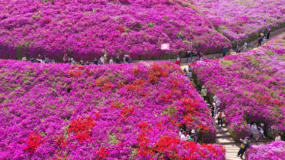 광주·전남 주말 낮 최고 26도 '포근'…완연한 봄 날씨