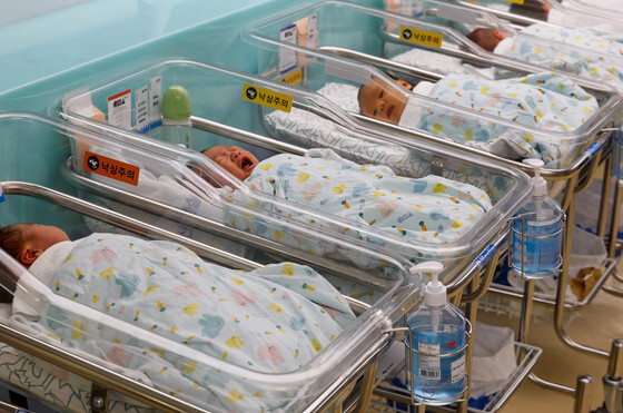 더 커진 아기울음