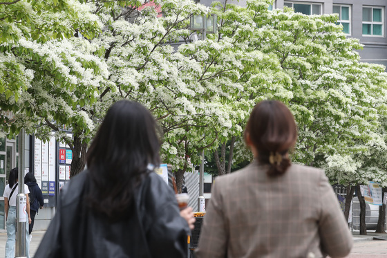 [오늘의 날씨] 세종·충북(1일, 금)…점차 맑음, 대기 '건조'
