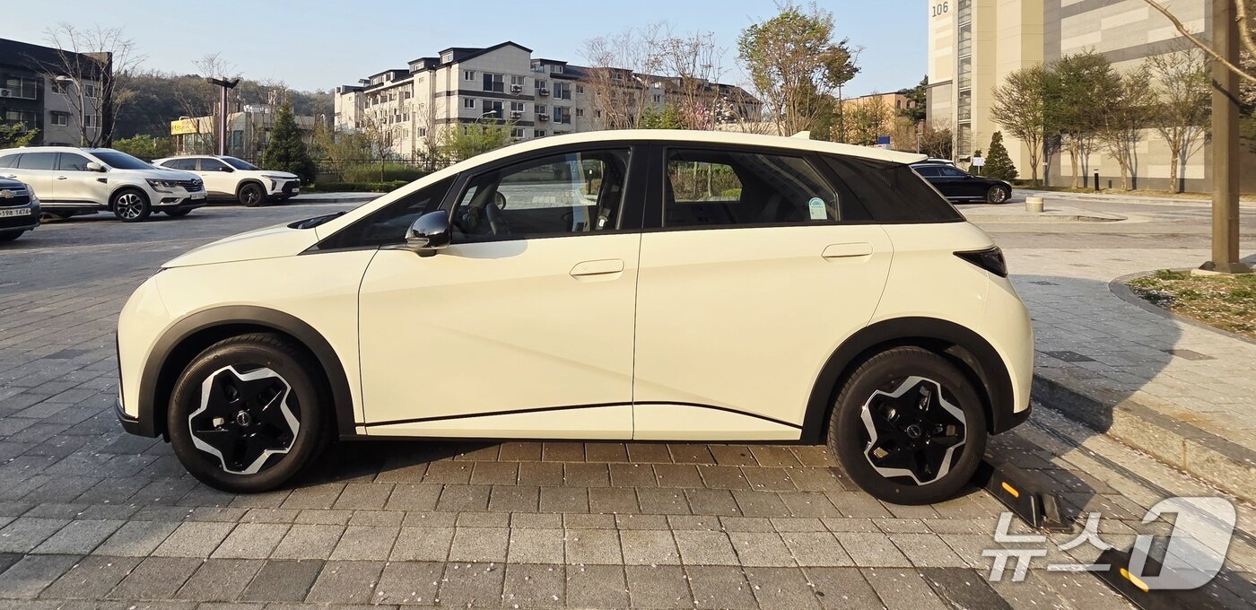 본문 이미지 - BYD돌핀. ⓒ 뉴스1 박기범 기자