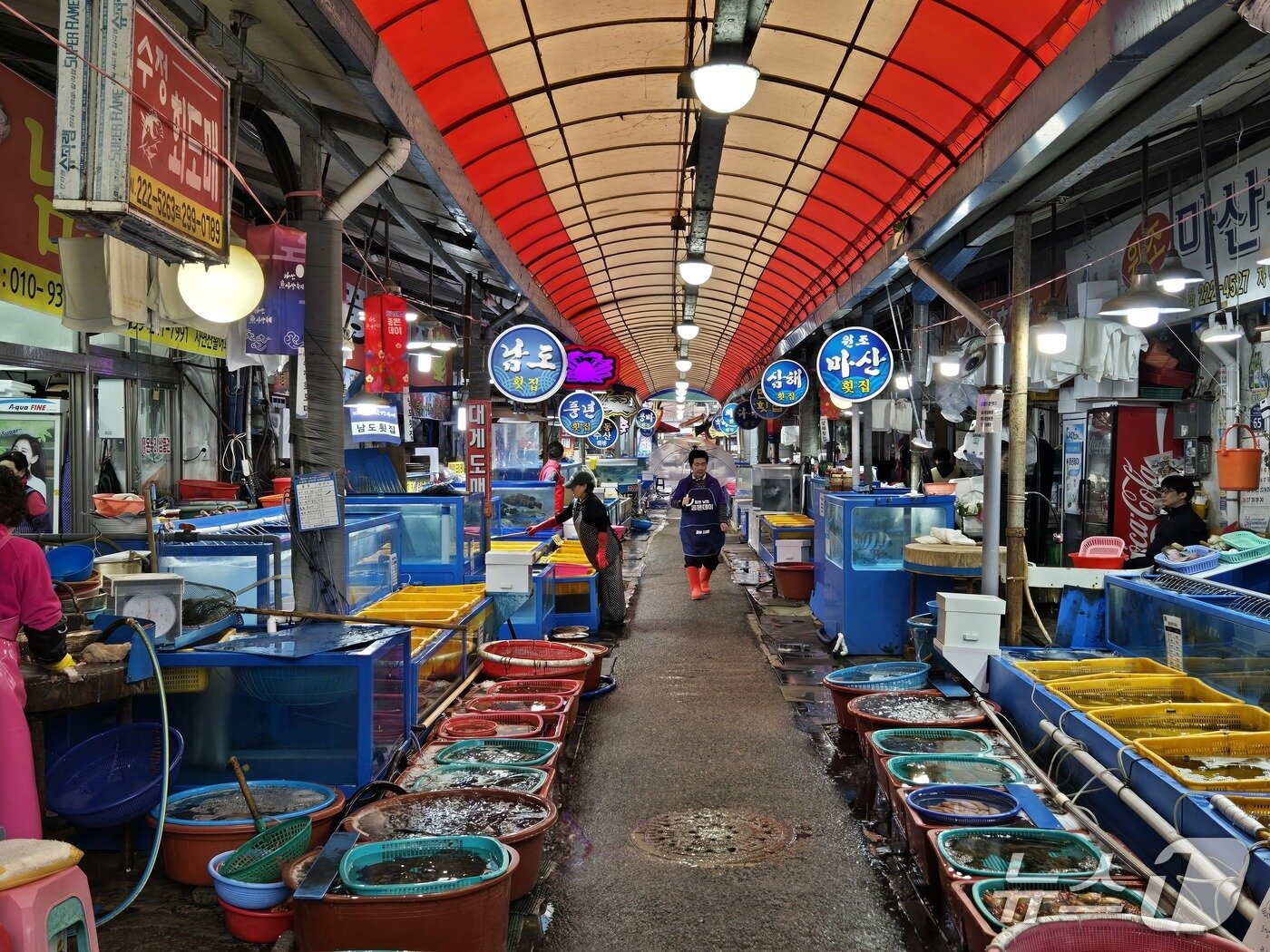 본문 이미지 - 22일 경남 창원 마산합포구 마산어시장의 모습. 26.04.22 ⓒ 뉴스1 손승환 기자