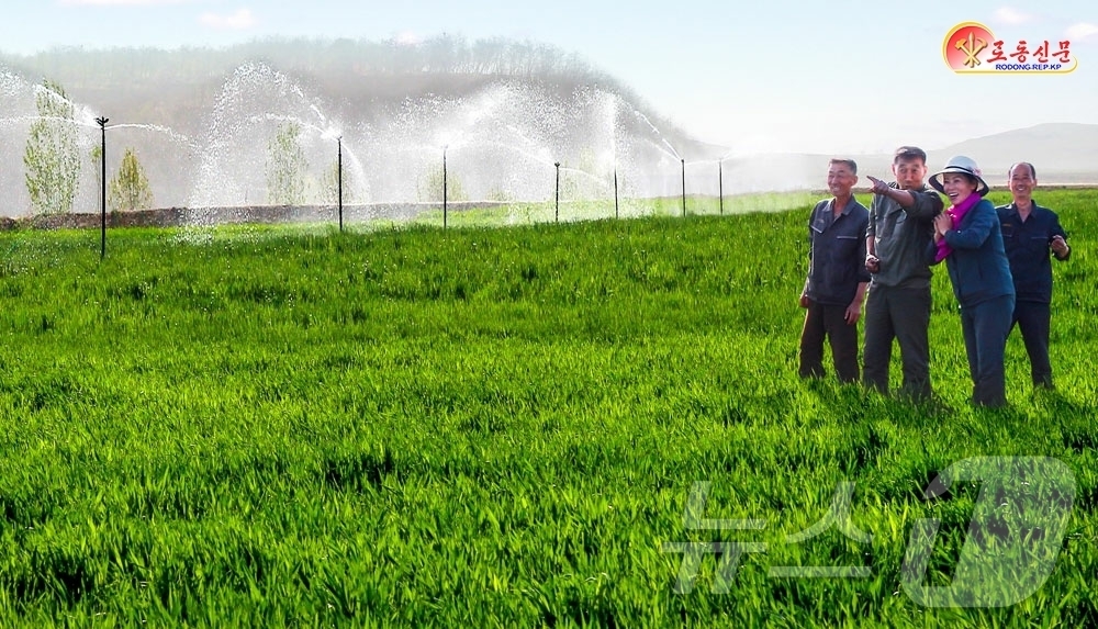 (평양 노동신문=뉴스1) = 북한 노동당 기관지 노동신문은 23일 재령군 삼지강농장에서 가뭄 피해를 줄이기 위해 물 확보와 영양액 시비 등 농작물 보호 대책을 추진하고 있다고 보도 …