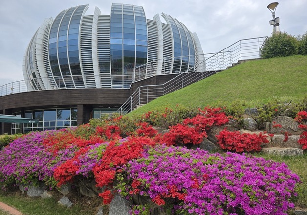 꽃잔디·철쭉 어우러진 상주 중덕지…봄 머무는 여행지 각광