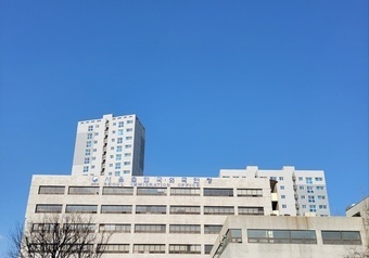 불법체류자에 중고차 판매…370대 불법 유통한 외국인 브로커들