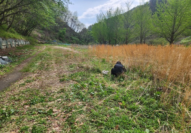 현대차, 납·비소 오염 옛 예비군 사격장 방치…주민들 쑥·나물 캐갔다