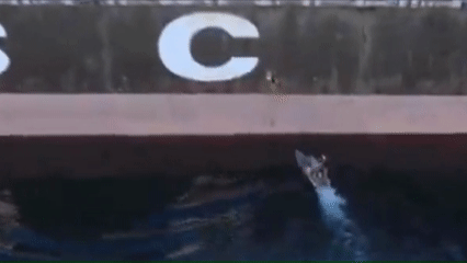 본문 이미지 - 이란 이슬람혁명수비대(IRGC)가 호르무즈 해협 인근 오만만에서 스위스 MSC의 프란세스카 화물선에 진입하는 영상. (출처=엑스(X))