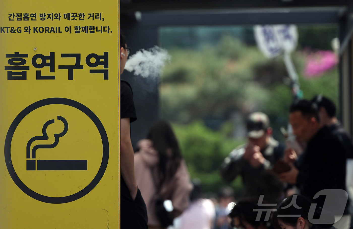 (서울=뉴스1) 김진환 기자 = 24일부터 합성 니코틴이 포함된 액상형 전자담배는 금연 구역에서 사용이 금지된다.담뱃갑에는 경고 그림과 문구 등 건강 경고를 표기해야 한다.흡연자의 …