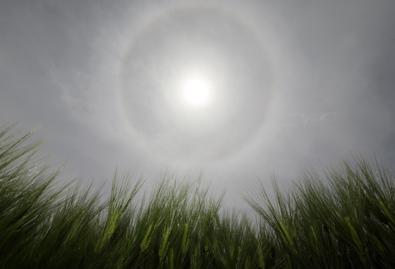 다시 낮 최고 '21도'…충청·전북·경북엔 '건조특보'[오늘날씨]