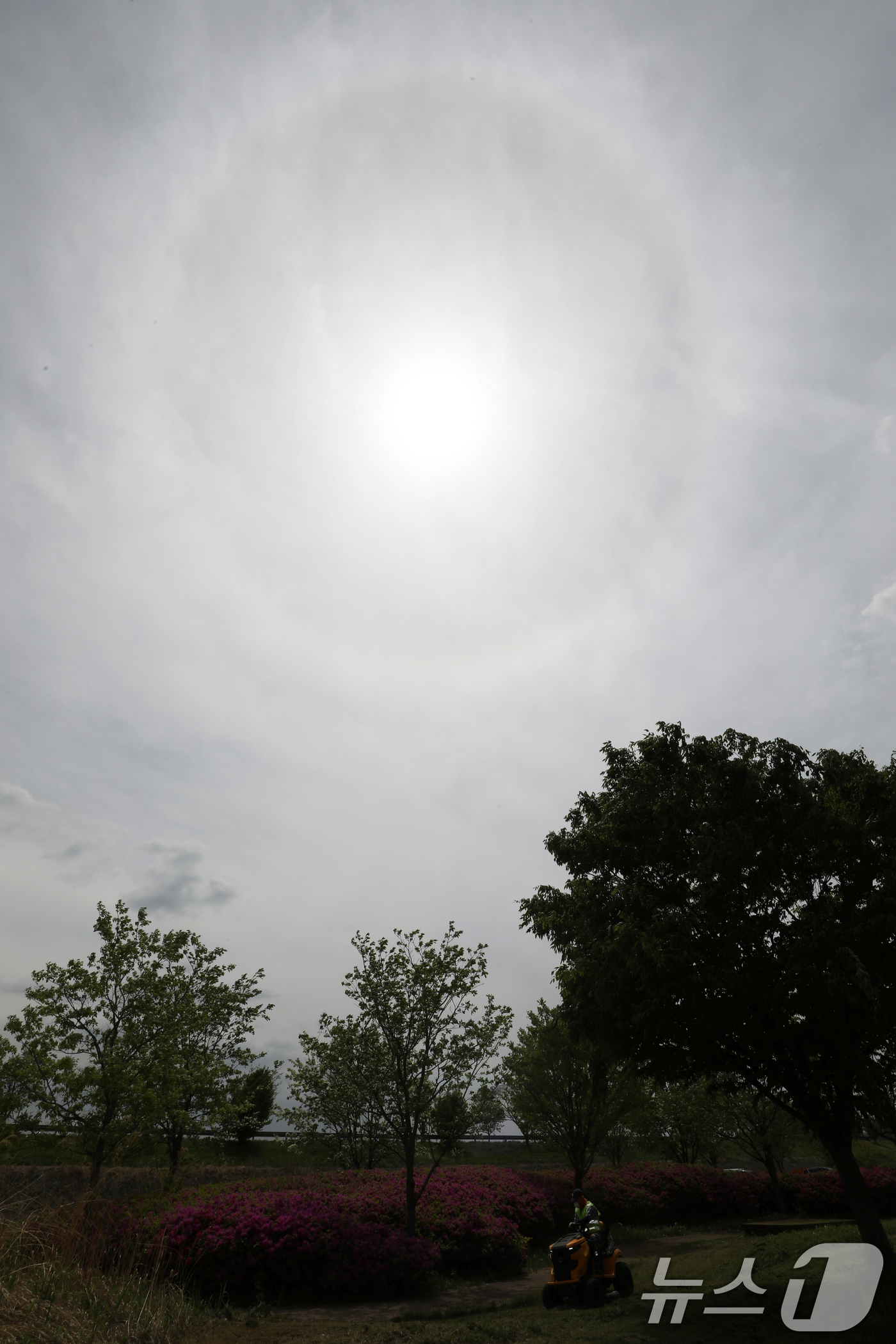 (함안=뉴스1) 윤일지 기자 = 23일 오후 경남 함안군 함안강나루생태공원 위 하늘에 해무리가 떠 있다.해무리는 대기 중 수증기가 굴절돼 태양 주변으로 둥근 원 모양이 나타나는 현 …