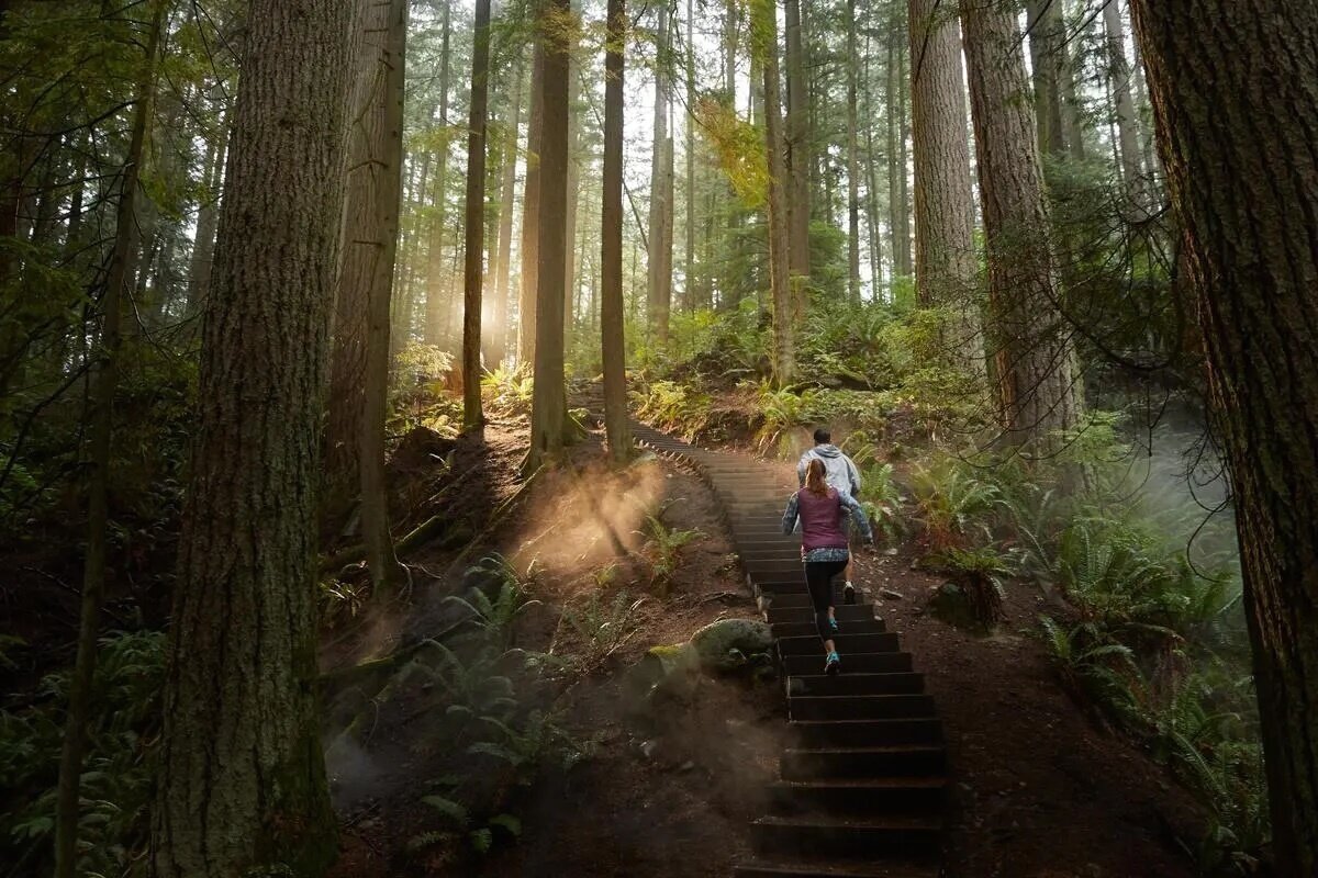 본문 이미지 - 밴쿠버 그라우스 산에서 열리는 트레일 러닝(멀티 그라우스 그라인드 챌린지 제공) 