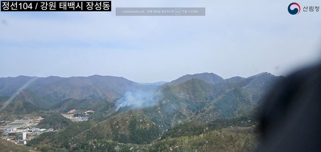 태백 장성동 산불 헬기 10대 투입해 1시간 50여분만에 진화(종합)