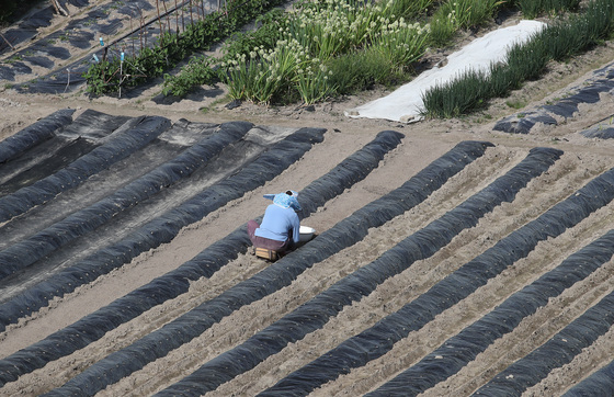[오늘의 날씨]대구·경북(24일,금)…큰 일교차, 낮 최고 16~24도